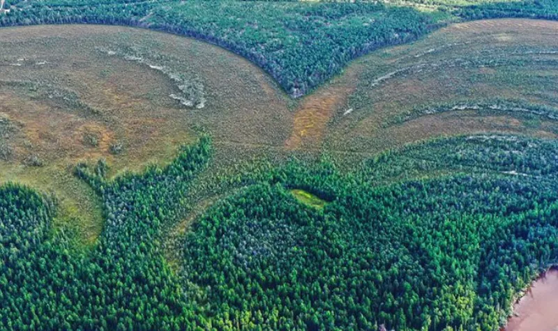 Cekricek.id - Berita Sains: Permukiman Tertua di Dunia Ditemukan di Siberia