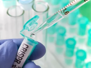 Cekricek.id - Terapi CRISPR Pertama di Dunia Telah Disetujui, Simak Ulasannya!
