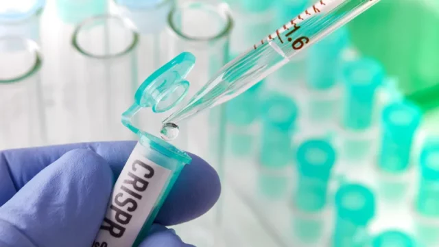Cekricek.id - Terapi CRISPR Pertama di Dunia Telah Disetujui, Simak Ulasannya!