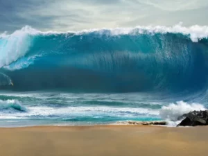 Cekricek.id - Tsunami 28 Meter Ancam Selandia Baru Setiap 580 Tahun