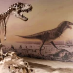 Cekricek.id - Dari Perut Fosil, Mengungkap Menu Terakhir Dinosaurus Gorgosaurus
