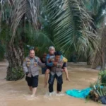 Berita Riau Hari Ini: Polisi Evakuasi 3 Lansia Terjebak Banjir di Kotalama Rokan Hulu
