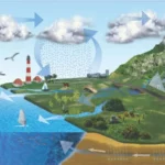 Prakiraan Cuaca Riau Sepanjang Tahun 2024: Curah Hujan Tahunan Normal Tanpa Anomali El Nino