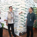 Berita Riau Hari Ini: Stok Beras Bulog Riau Kepri Mencukupi untuk 3 Bulan ke Depan