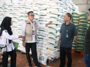 Berita Riau Hari Ini: Stok Beras Bulog Riau Kepri Mencukupi untuk 3 Bulan ke Depan