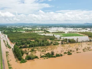 Berita Riau Hari Ini: Pemprov Riau Bentuk Satgas Siaga Hidrometeorologi untuk Penanganan Darurat Bencana