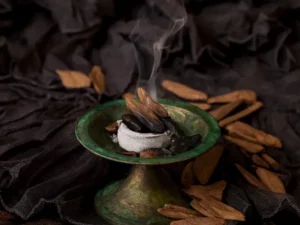 Cekricek.id - Menjelajahi Kekayaan Sejarah dan Budaya Kayu Gaharu
