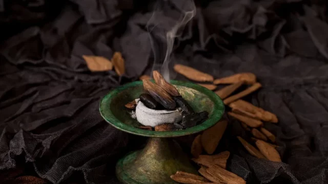 Cekricek.id - Menjelajahi Kekayaan Sejarah dan Budaya Kayu Gaharu
