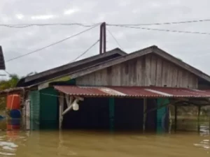 Cekricek.id: Berita Riau hari Ini: Berita Kampar Hari Ini: Banjir Kampar: Banjir Kampar Kiri: Sungai Subayang Meluap, Ratusan Rumah Terendam