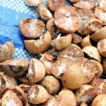 Cekricek.id, Berita Riau Hari Ini: Harga Pinang Kering di Riau Melonjak, Capai Rp5.690 per Kg