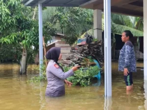 Cekricek, Berita Kampar Hari Ini dan Berita Riau Hari Ini: Polwan Fatimah Yulis Berjuang Melintasi Banjir dan Ancaman Buaya untuk Memberikan Bantuan dan Trauma Healing