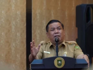 Cekricek, Berita Riau Hari Ini: Pemprov Riau Menyalurkan Bantuan Khusus Desa sebesar Rp 1,4 Triliun dalam 5 Tahun Terakhir.