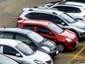 Cekricek.id - Panduan Terbaik untuk Rental Mobil di Pekanbaru