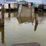 Cekricek.id, Berita Riau Hari Ini: Jembatan yang Ambruk Akibat Banjir di Inhil dan Kuansing Belum Bisa Dilewati