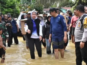 Cekricek.id, Berita Inhu Hari Ini dan Berita Riau Hari Ini: Bupati Inhu Ingatkan Orang Tua jaga Keselamatan Anak Saat Banjir