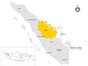 Cekricek.id, Berita Riau Hari Ini: Berita Riau Hari Ini: Kondisi geologi Riau didominasi oleh batuan sedimen kuarter dengan sisipan batuan sedimen tersier di bagian barat dan selatan.