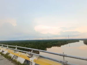 Cekricek.id, Berita Riau Hari Ini: Inilah Kondisi Hidrologi Riau, Provinsi yang Dialiri Sungai Terdalam di Indonesia