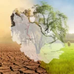 Cekricek.id, Berita Riau Hari Ini: Inilah gambaran umum kondisi iklim Riau. Provinsi Riau beriklim tropis basah dengan curah hujan rata-rata 1.400-4.000 mm per tahun.