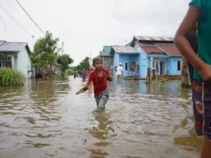 Cekricek.id, Berita Rokan Hilir Hari Ini dan Berita Riau Hari Ini: Bantuan Sembako untuk Korban Banjir Tiba di Teluk Berembun