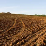 Cekricek.id - Potret Penggunaan Lahan di Riau