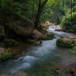 Berita Inhil Hari Ini dan Berita Riau Hari Ini: Kondisi Hidrologi Indragiri Hilir: Wilayah dengan Hutan Payau yang Dialiri 5 Sungai