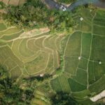 Berita Inhil Hari Ini dan Berita Riau Hari Ini: Potensi Pengembangan Wilayah Indragiri Hilir