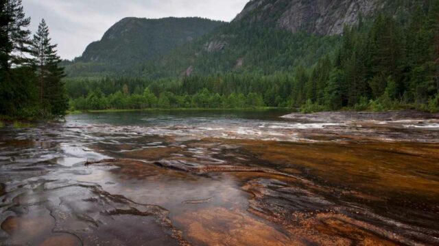 Berita Bengkalis Hari Ini dan Berita Riau Hari Ini: Kondisi Hidrologi Bengkalis: Menyajikan Keindahan Alam Lewat 12 Aliran Sungai di 3 Kecamatan