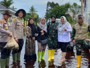 Berita Inhil Hari Ini dan Berita Riau Hari Ini: Banjir Rendam 2 Kecamatan di Inhil Hingga 80Cm