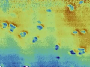 Misteri Jutaan Lubang yang Ditemukan di Dasar Laut Utara Terungkap, Ternyata Ini Penyebabnya!