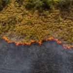Berita Riau Hari Ini: 19,10 Hektare Lahan di Riau Terbakar Sejak Januari-Februari 2024