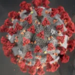 Fragmen "Zombie" Virus Corona, Picu Gejala Parah COVID-19