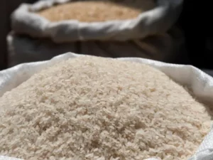Berita Riau Hari Ini: Stok Beras Premium di Riau Stabil Meski Harga Naik