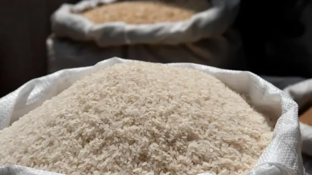 Berita Riau Hari Ini: Stok Beras Premium di Riau Stabil Meski Harga Naik