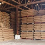 Berita Riau Hari Ini: Stok Beras Bulog Riau Aman Hingga Lebaran, Capai 21 Ribu Ton