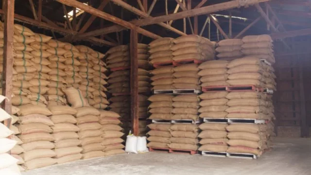 Berita Riau Hari Ini: Stok Beras Bulog Riau Aman Hingga Lebaran, Capai 21 Ribu Ton
