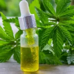 Minyak Ganja Terbukti Jadi Pengobatan Efektif bagi Lupus Kulit Anjing