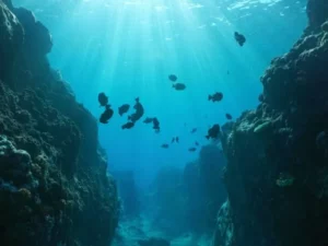 Ngarai Bawah Laut Raksasa Berusia 6 Juta Tahun Ditemukan di Laut Mediterania