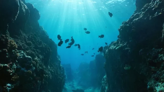 Ngarai Bawah Laut Raksasa Berusia 6 Juta Tahun Ditemukan di Laut Mediterania