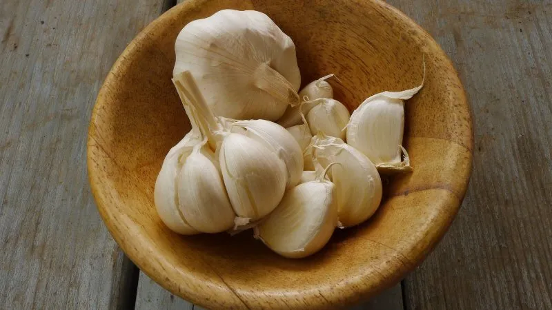 13 Jenis Makanan yang Bisa Menurunkan Risiko Terkena Kanker