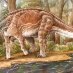 Spesies Baru Titanosaurus Ditemukan di Argantina