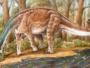 Spesies Baru Titanosaurus Ditemukan di Argantina