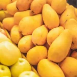 Berita Riau Hari Ini: Bea Cukai Musnahkan 19,8 Ton Mangga Ilegal Asal Malaysia