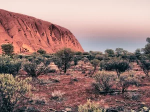 Membakar Lahan, Tradisi Penduduk Asli Australia Mengubah Ekosistem Sejak 11.000 Tahun Lalu
