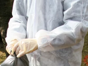 Remaja Vietnam Tewas Akibat Flu Burung H5N1, Waspada Penularan