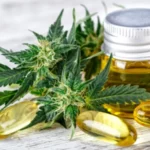 Ganja CBD Efektif Dijadikan Penangkal Kecemasan