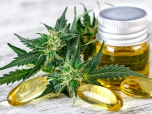 Ganja CBD Efektif Dijadikan Penangkal Kecemasan