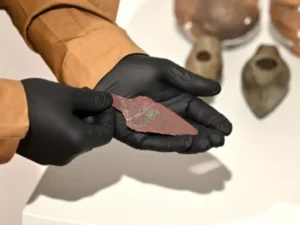 Belati Tembaga Berusia 4.000 Tahun Ditemukan di Polandia, Diduga Milik Pejuang Kuno