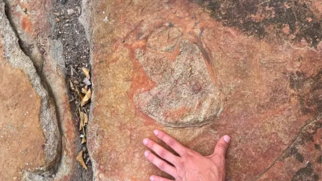 Jejak Dinosaurus dan Seni Ukiran 9.000 Tahun Ditemukan di Brasil
