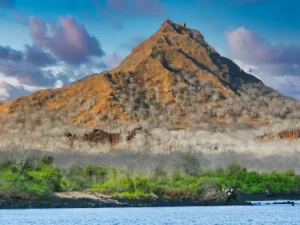 Gunung Berapi La Cumbre di Kepulauan Galapagos Mulai Meletus
