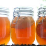 Penelitian Mengungkap Manfaat Kombucha Seperti Efek Puasa